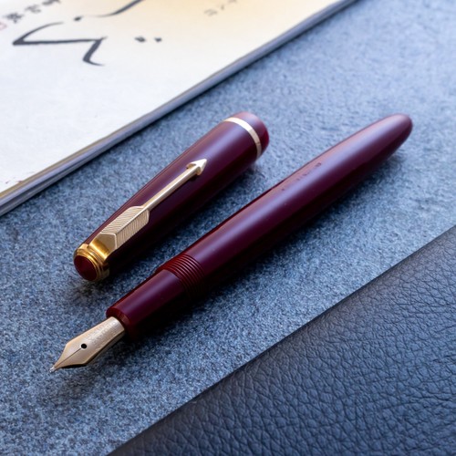 Penna stilografica parker - stilografica,